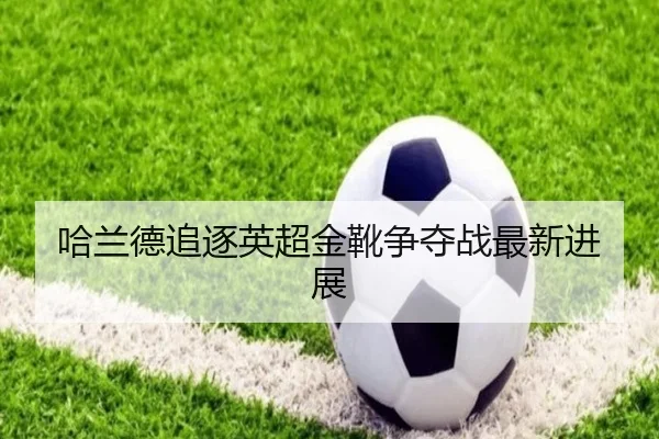 哈兰德追逐英超金靴争夺战最新进展